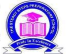 STEADY STEPS logo
