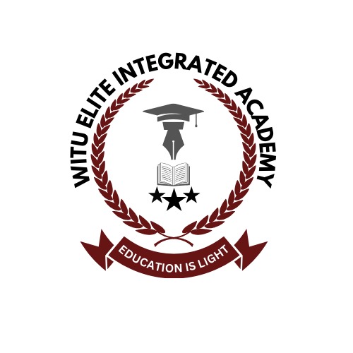 WITU ACADEMY logo